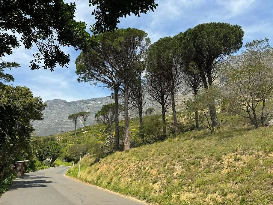 Modern Studio On The Foot Of Table Mountain Cape Town 0*,  South Africa